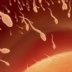 cuanto cuesta una inseminacion artificial