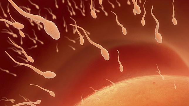 cuanto cuesta una inseminacion artificial