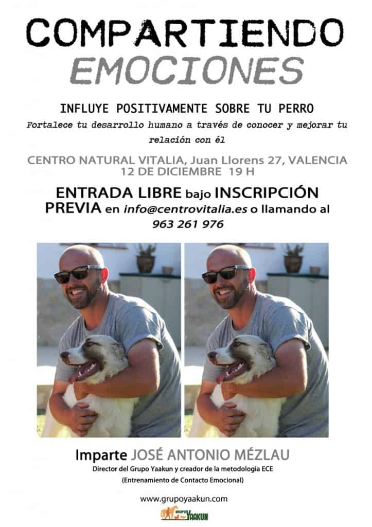 influir positivamente perro