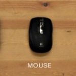 evolucion mouse