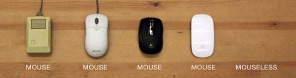 evolucion mouse