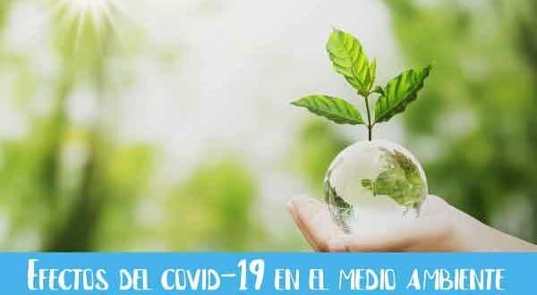 efectos del covid en el medio ambiente