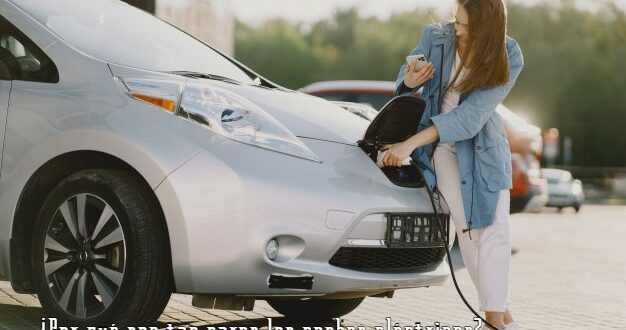 Por qué son tan caros los coches eléctricos