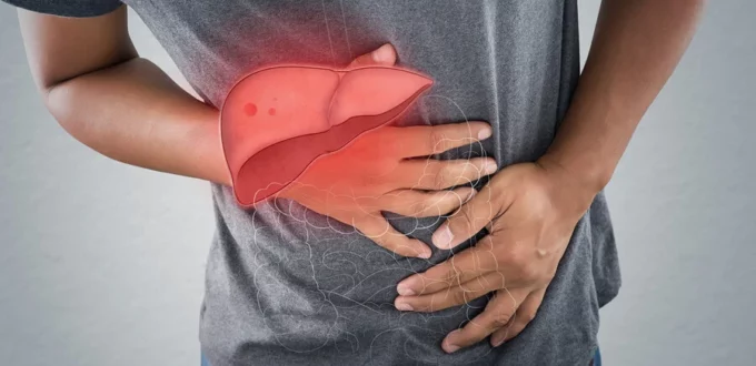 que son protectores hepaticos